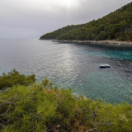 Secluded Fisherman'S Cottage Cove Skozanje, Hvar - 4009 Gdinj ภายนอก รูปภาพ